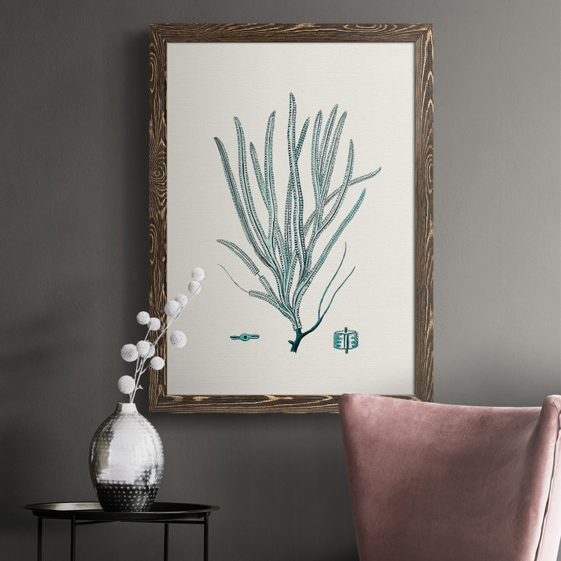 Heffron Antique Coastal Coral VII, reproduction d'art sur toile, H 43,5 po x l 31,5 po x P 1 po, Noyer