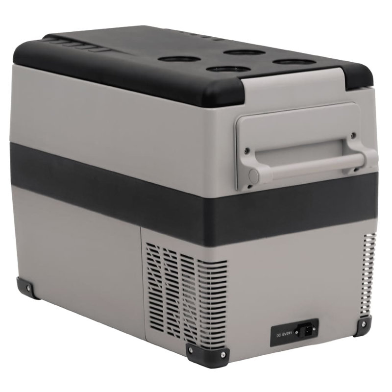 Asghar Dakota Fields 55L Ice Chest in Black