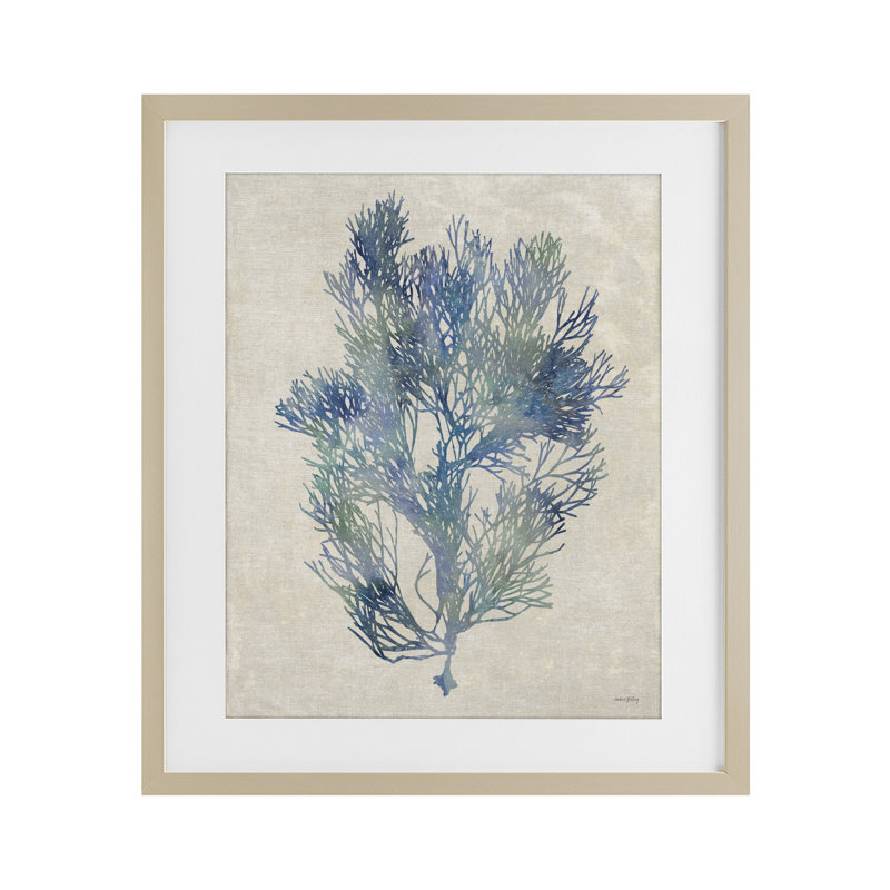 «Misty Blue Coral Study», reproduction sous verre encadrée, design par Amber Sterling, 21 x 17