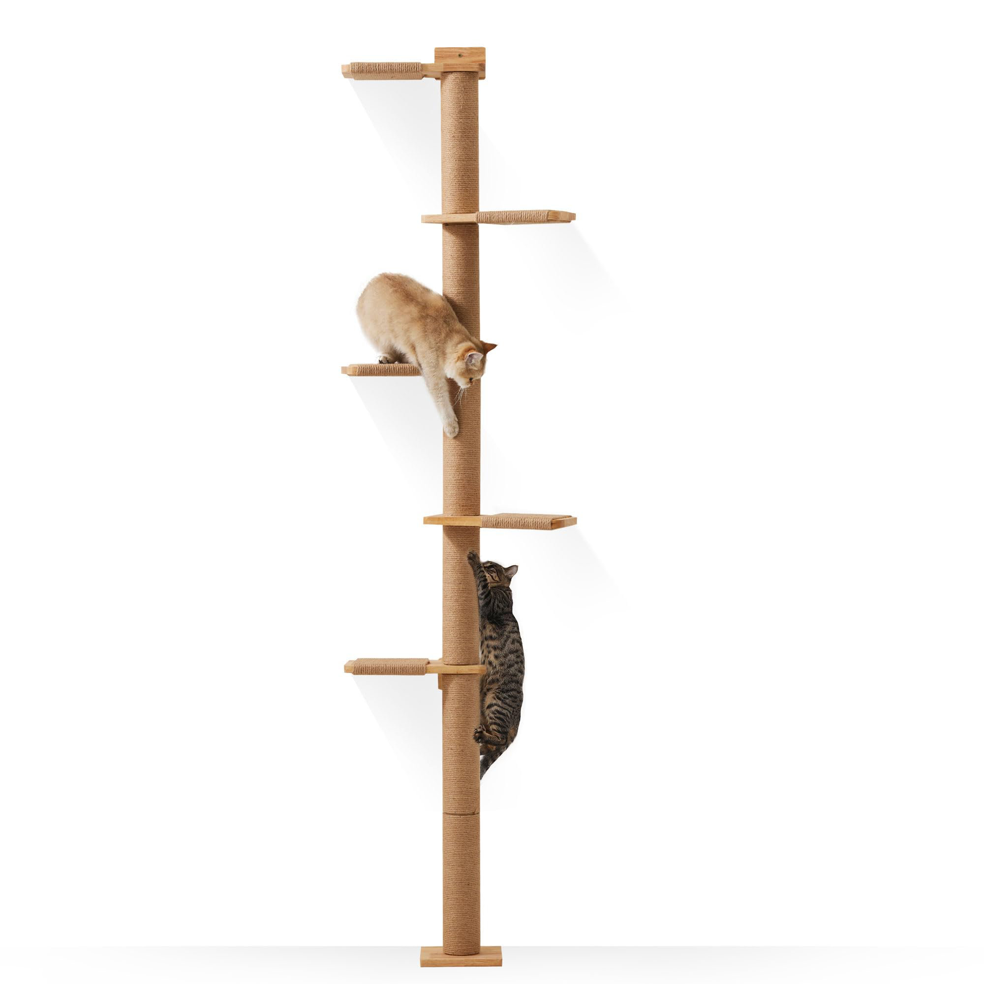 Corrigan Studio® Tasheanna Tall Cat Tree, 5 Tier Floor To Ceiling Cat ...