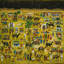 Golden Desert Tales