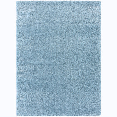 Indoor Rug