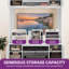  63"W Wall Unit Entertainment Centre With Power Outlets & Adjustable Storage Cabinet-499826690