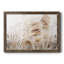 Soft Pampas Breeze - reproduction d'art sur toile encadrée-1396452520-1396452521