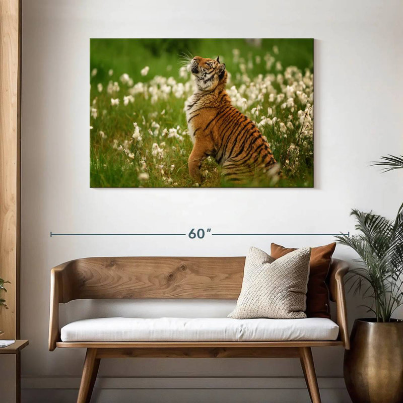 Brampt Tiger Cub, 30" H x 45" W