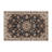 Persian Gray Indoor and Outdoor Area Rug-1163430004