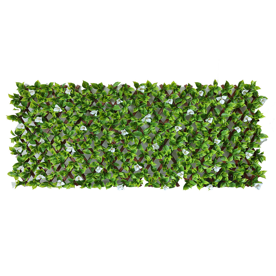 Annalicia 180Cm H x 60Cm W Plastic Expanding Trellis