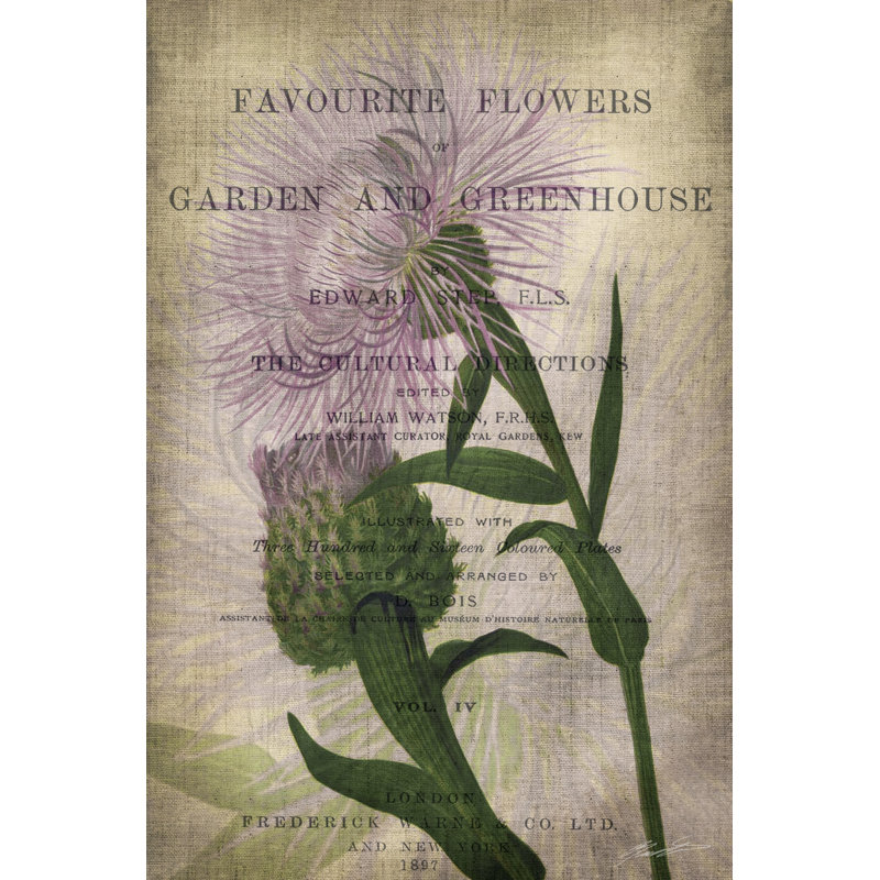 Fleurs préférées II, H 30 po x l 20 po x P 1,25 po
