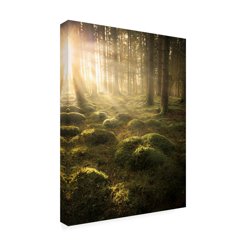 «Dans les bois sur toile» par Christian Lindsten, reproduction, H 32 po x l 24 po x P 2 po