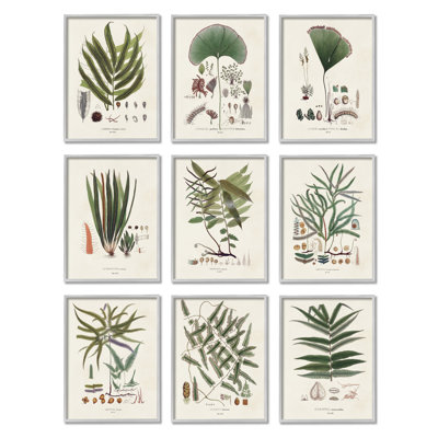 «Antique Leaves VIntage Study» par Vision Studio - ensemble de 9 impressions sur bois