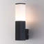 Lohyn Frosted Glass Outdoor Armed Sconce