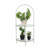 Muamir Glass Top End Table
