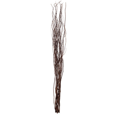 Seaford Willow Branches