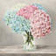 "Fleurs et vases blanc II" par Remy Dellal - reproduction sur toile tendue-911056172-816517116-816517119