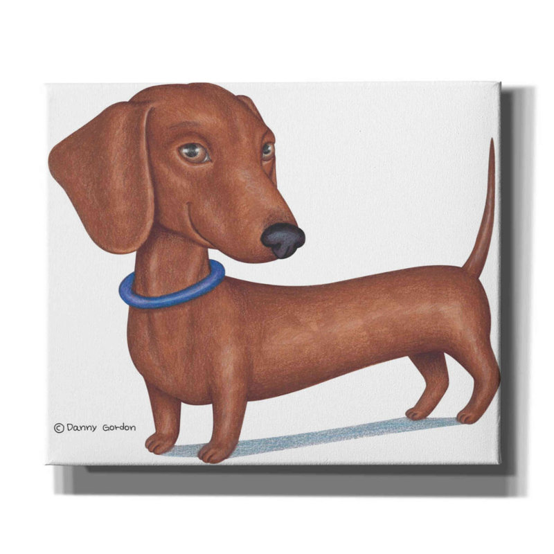 «Brown Dachshund Blue Collar» par Danny Gordon, reproduction d'art sur toile, H 20 po x l 24 po x P 0,75 po