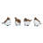  Medium Resin Flicker Woodpecker Bird Set of 4 Spring Home Decorations
