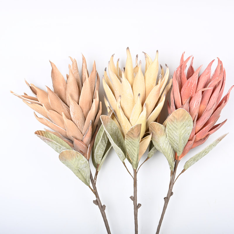 Protea Cynaroides, arrangement floral, longue tige