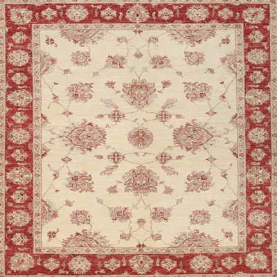 Bautz Oriental Indoor Rug