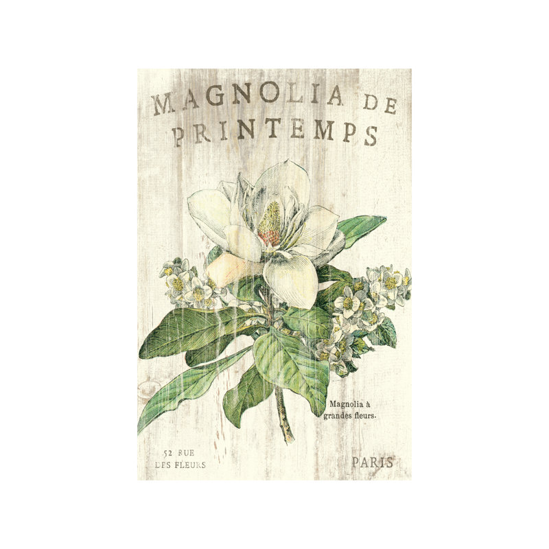Magnolia De Printemps by Sue Schlabach - Wrapped Canvas Print, 152.5 cm H x 101.5 cm W
