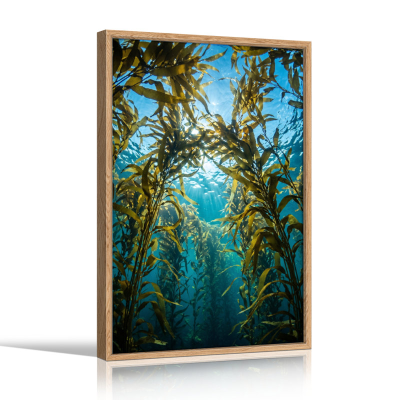 Ensemble de 1 tableau sur toile représentant des algues sous-marines, H 48 po x l 32 po, Natural