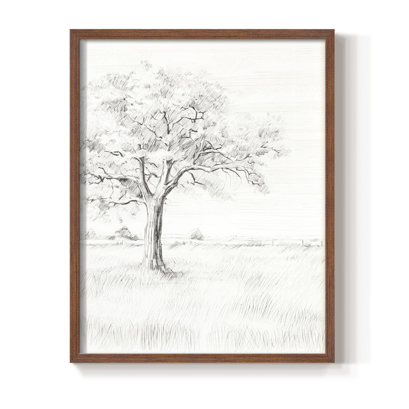 Vintage Sketch X Framed Print - Solid Wood