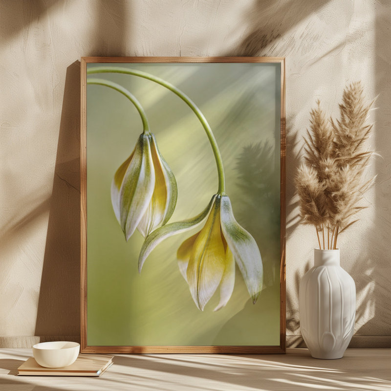 Wrapped Canvas Print, 81.28 cm H x 121.92 cm W