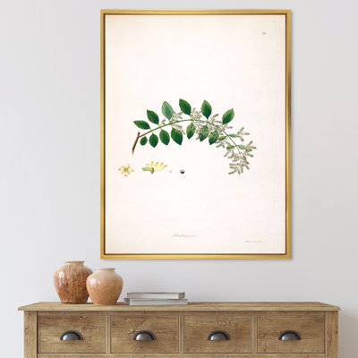 Vintage Plant Life XVIII - peinture sur toile