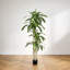 Arbre Dracaena artificiel 6 pi en pot pour décoration intérieure et extérieure-1345623495