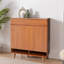 16 Pair Shoe Storage Cabinet
