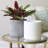Partibha Pot Planter-688899341