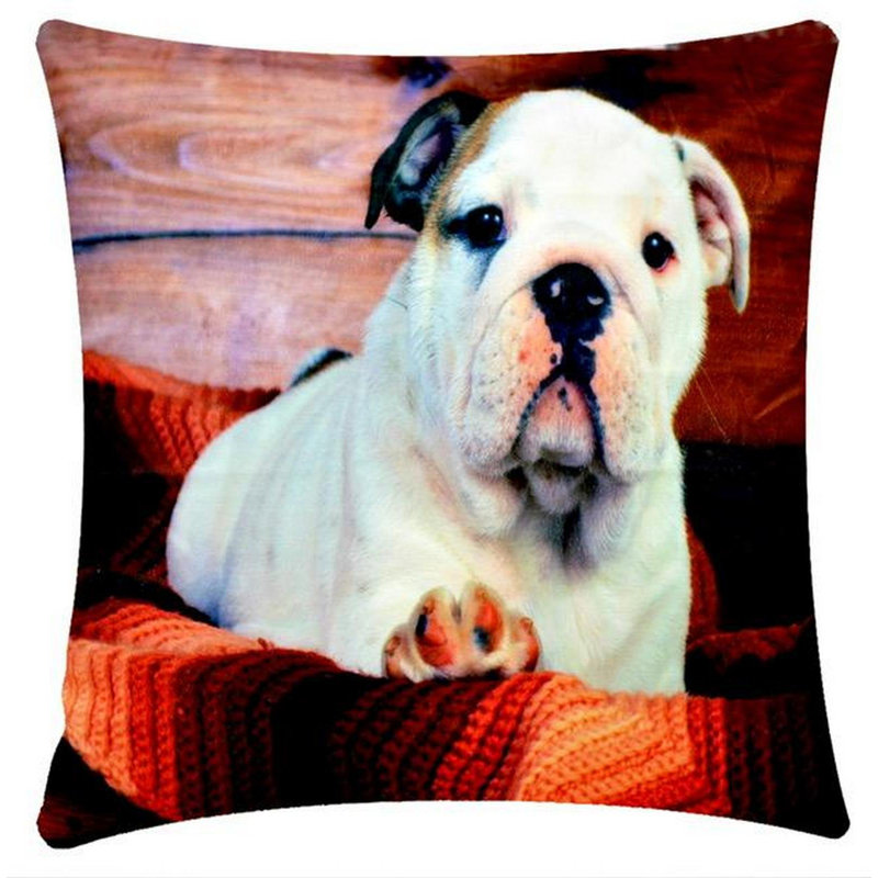 Brenndan Square Cushion Cover