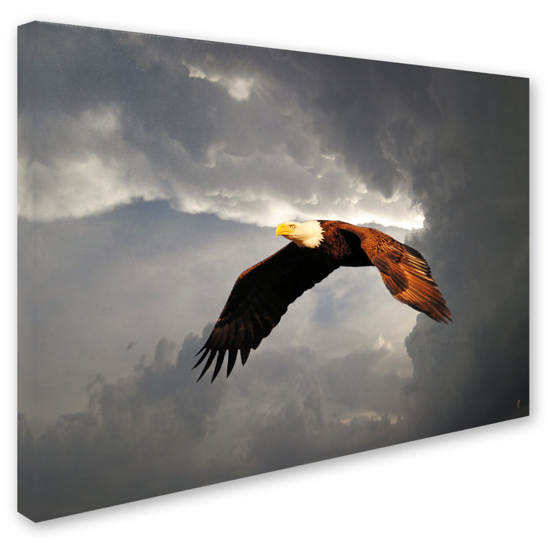 «Above the Storm Bald Eagle», reproduction de photo sur toile tendue Vidur, H 14 po x l 19 po