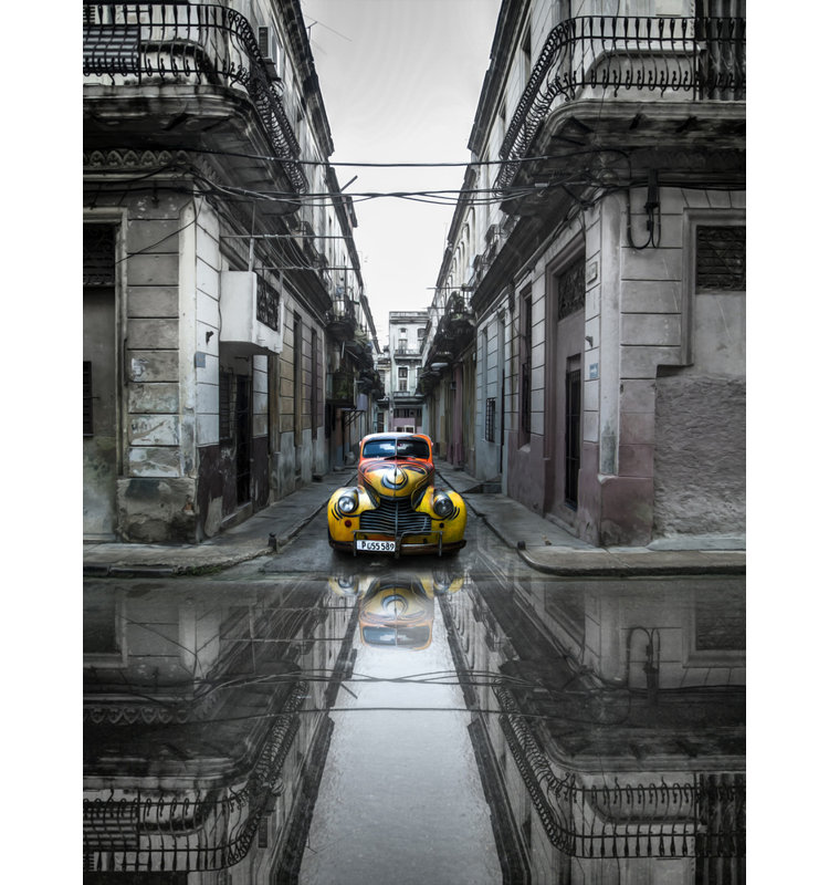 Wrapped Canvas Print, 50.8 cm H x 76.2 cm W
