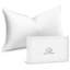 Oreillers luxueux en duvet d'oie 100% naturel haut de gamme-870815140
