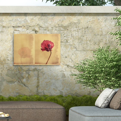 Desislava Ignatova  Its Raining Again Outdoor  Canvas