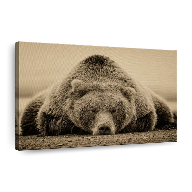 " Deep Sleep I ", 30" H x 45" W x 1.25" D