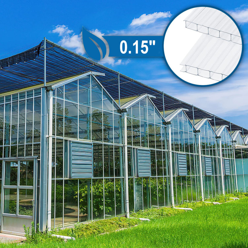 Couvre-panneau en polycarbonate à double paroi, H 0,15 po x l 48 po x P 24 po