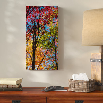 " Color Blend " Print