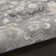 Biarni Oriental Indoor Rug
