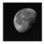 « near side of the moon », reproduction d’impression sur toile tendue-31978488