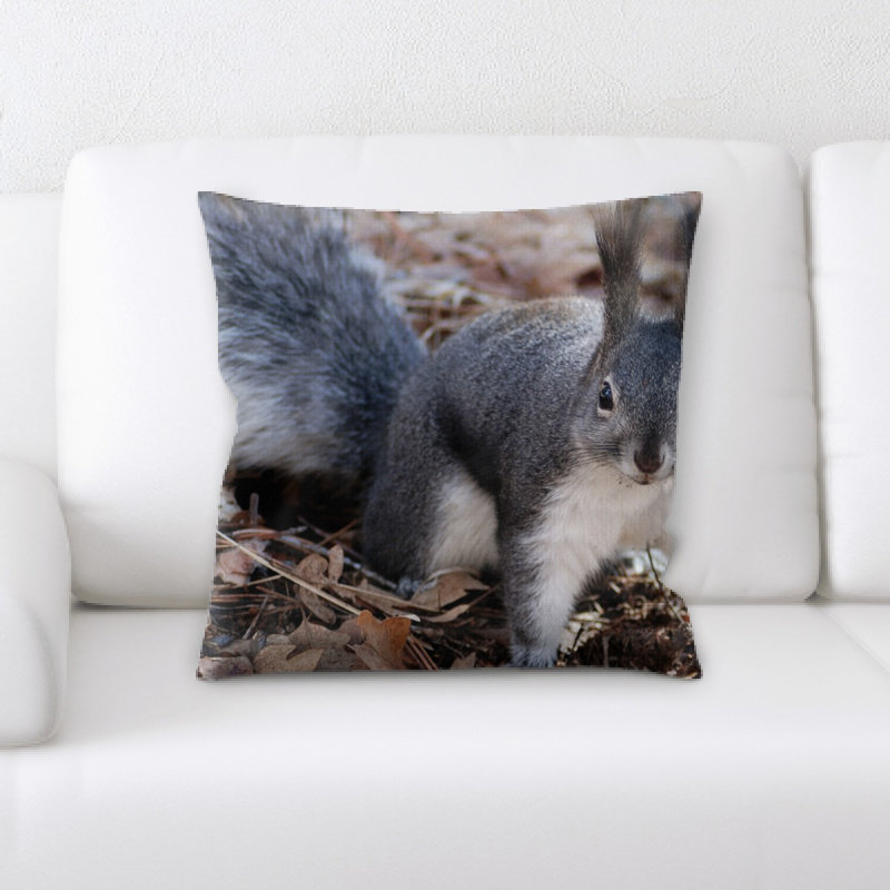 Coussin écureuil