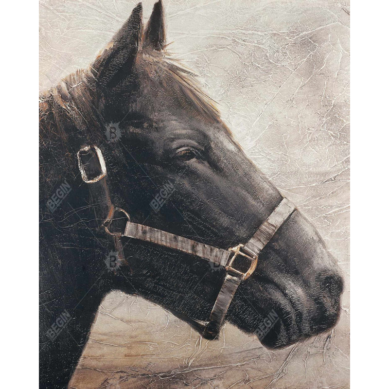 Gallopin le cheval brun, reproduction sur toile