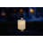 7.5'' Solar Powered Integrated LED Outdoor Lantern