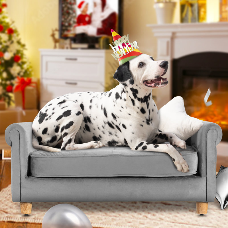 Dalibor Polyester Pet Bed