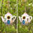 Decorative Bird Houses