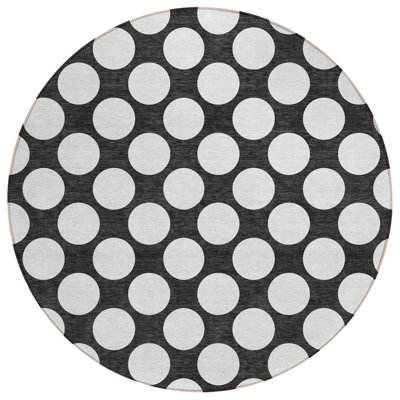  Colturo Area Rug