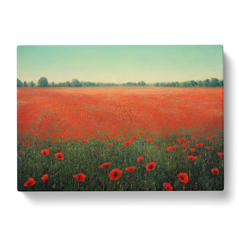 Dreamy Poppies Flowers - Wrapped Canvas Print, 35cm H x 50cm W x 3cm D