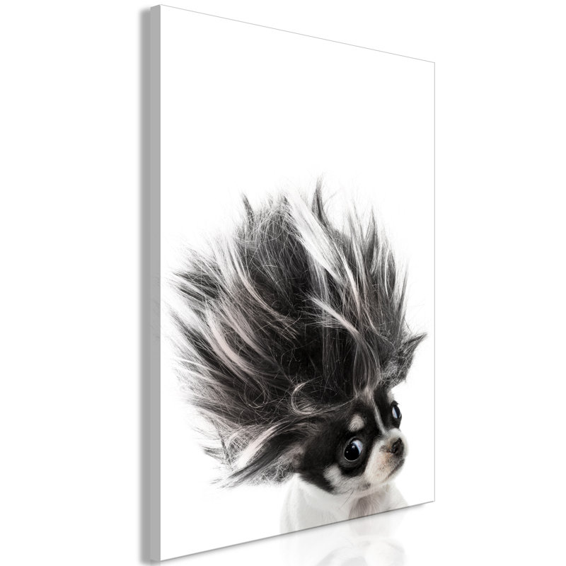 No Frame Print on Canvas, 40cm H x 60cm W