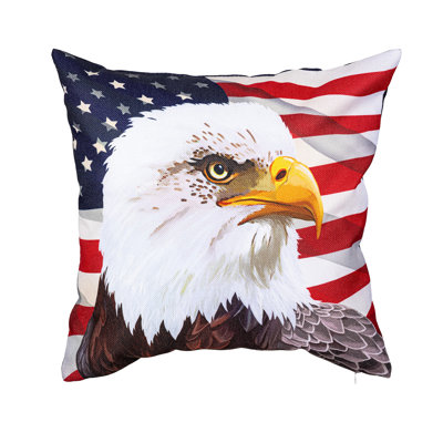 American Eagle Pillow Cover