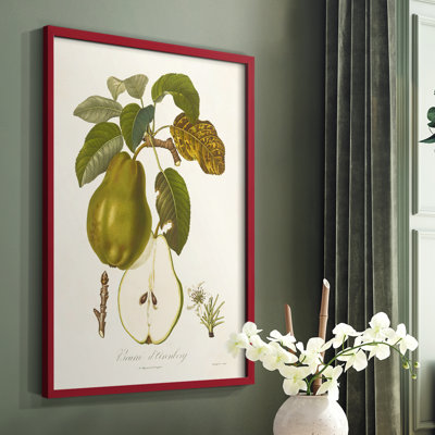 Vintage Pears IV, reproduction encadrée - bois massif